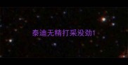 泰迪无精打采没劲