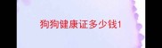 狗狗健康证多少钱