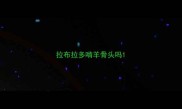 拉布拉多啃羊骨头吗