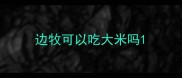 边牧可以吃大米吗