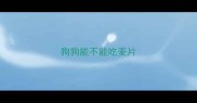 狗狗能不能吃麦片