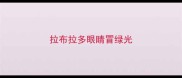 拉布拉多眼睛冒绿光