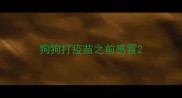 狗狗打疫苗之前感冒