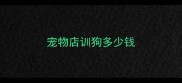 宠物店训狗多少钱