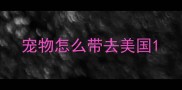 宠物怎么带去美国