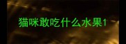 猫咪敢吃什么水果