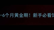 浣熊幼崽3-6个月黄金期新手必看饲养指南