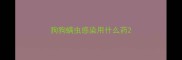 狗狗螨虫感染用什么药