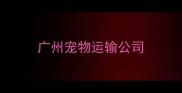 广州宠物运输公司