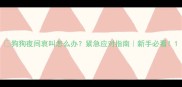 狗狗夜间哀叫怎么办紧急应对指南新手必看