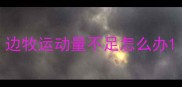 边牧运动量不足怎么办