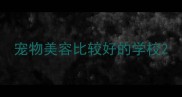 宠物美容比较好的学校