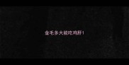 金毛多大能吃鸡肝