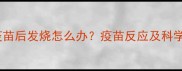 猫咪接种疫苗后发烧怎么办疫苗反应及科学应对指南
