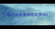 福州农大宠物医院贵吗