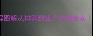 母猫怀孕全流程图解从排卵到生产护理指南科学备孕必看