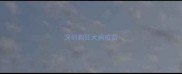 深圳狗狂犬病疫苗