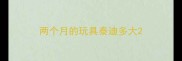 两个月的玩具泰迪多大