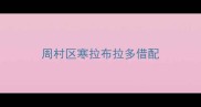 周村区寒拉布拉多借配