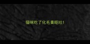 猫咪吃了化毛膏呕吐
