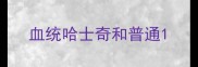 血统哈士奇和普通