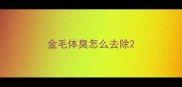 金毛体臭怎么去除