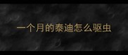 一个月的泰迪怎么驱虫