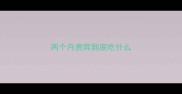 两个月贵宾到底吃什么