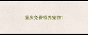 重庆免费领养宠物
