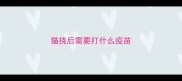 猫挠后需要打什么疫苗