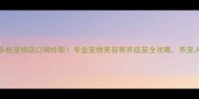 菏泽派多格宠物店口碑炸裂专业宠物美容寄养疫苗全攻略养宠人必看