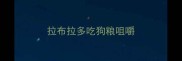 拉布拉多吃狗粮咀嚼