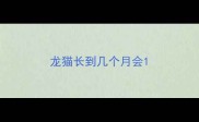 龙猫长到几个月会