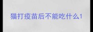 猫打疫苗后不能吃什么