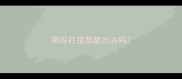狗没打疫苗能出去吗