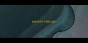 能查猫咪有没有打疫苗