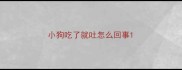 小狗吃了就吐怎么回事