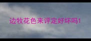 边牧花色来评定好坏吗