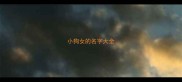 小狗女的名字大全