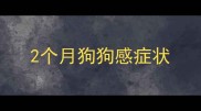2个月狗狗感症状