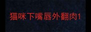 猫咪下嘴唇外翻肉