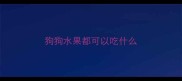 狗狗水果都可以吃什么