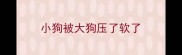 小狗被大狗压了软了
