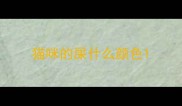 猫咪的屎什么颜色