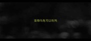 宠物乌龟可以吃吗