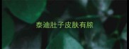 泰迪肚子皮肤有脓