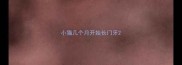 小猫几个月开始长门牙
