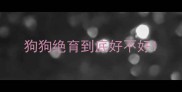 狗狗绝育到底好不好