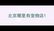 北京哪里有宠物店
