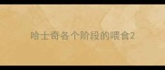 哈士奇各个阶段的喂食